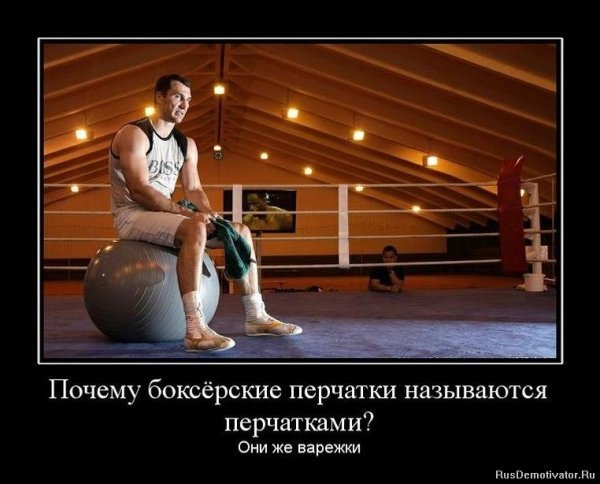 Шутки про боксеров