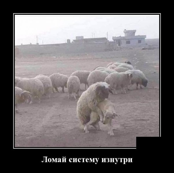 Ломай систему