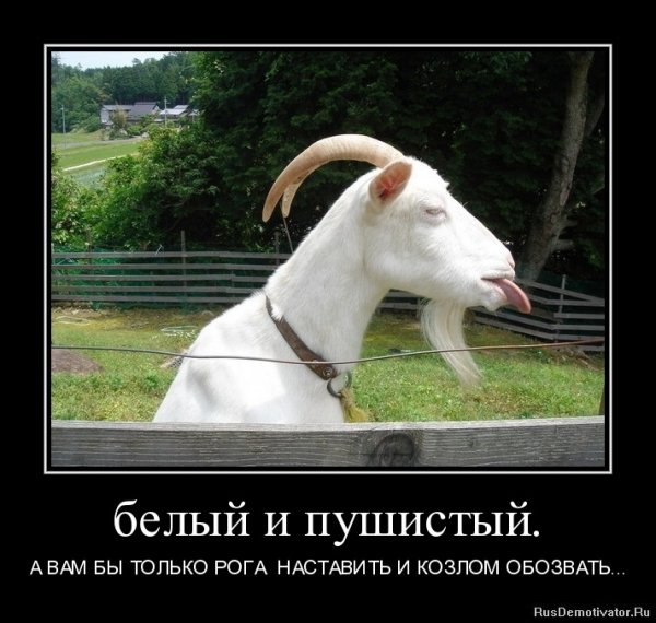 Демотиваторы политика