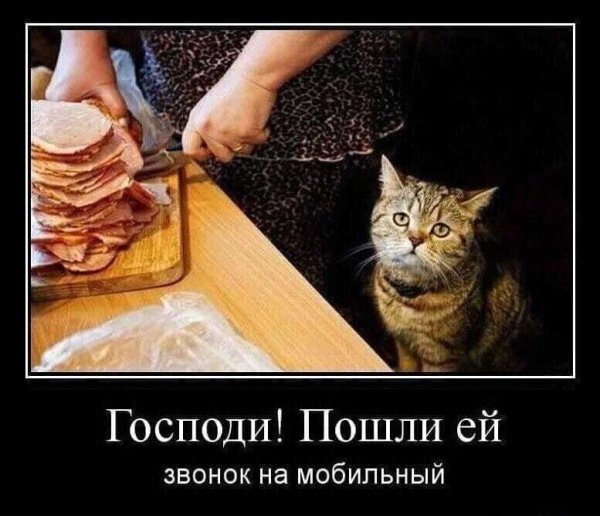 Демотиваторы приколы