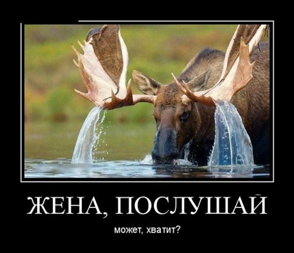 Прикольные демотиваторы