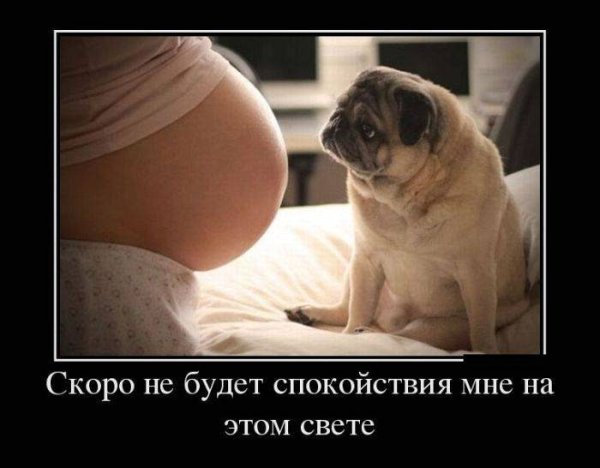 Демотиваторы позитивные смешные