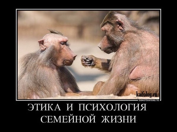 Самые смешные демотиваторы