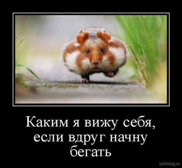 Весёлые демотиваторы для поднятия настроения