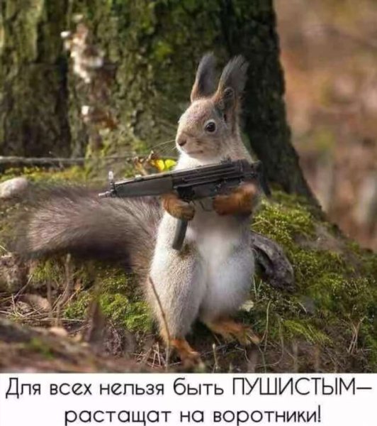 Демотиваторы смешные