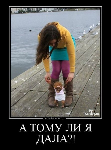 Очень смешные демотиваторы