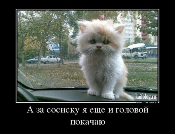 Прикольные демотиваторы с надписями