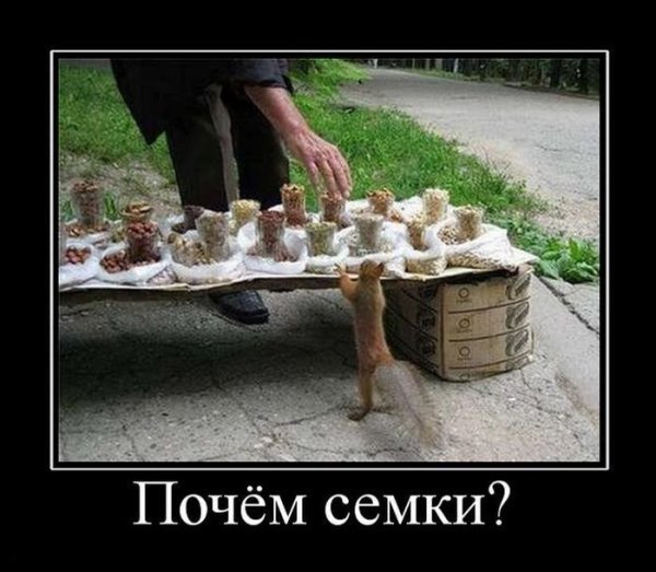 Очень Веселые демотиваторы