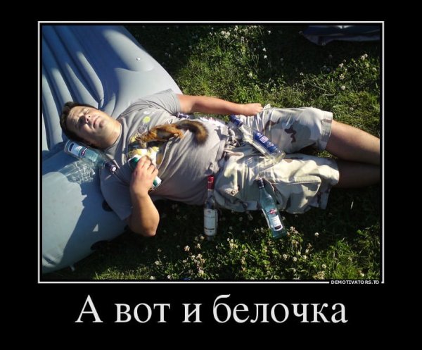 Демотиваторы про алкашей смешные