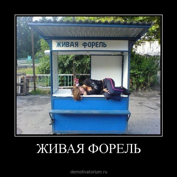 Демотиваторы смешные