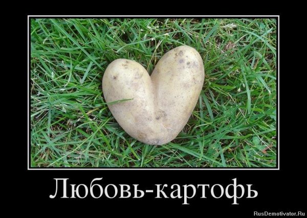 Приколы про любовь