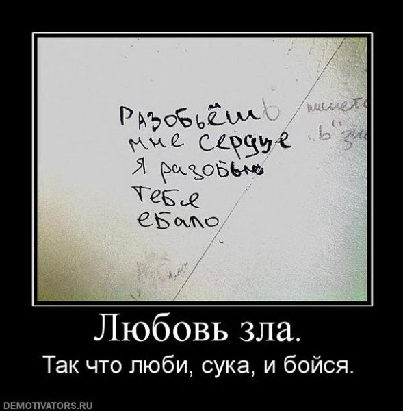 Смешные цитаты про любовь