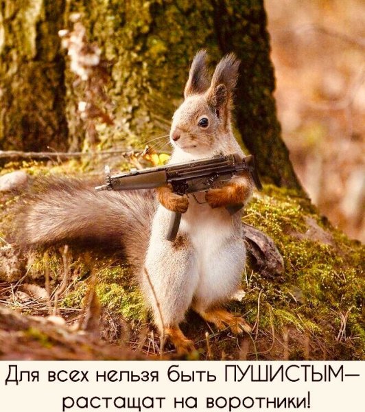 Демотиваторы смешные