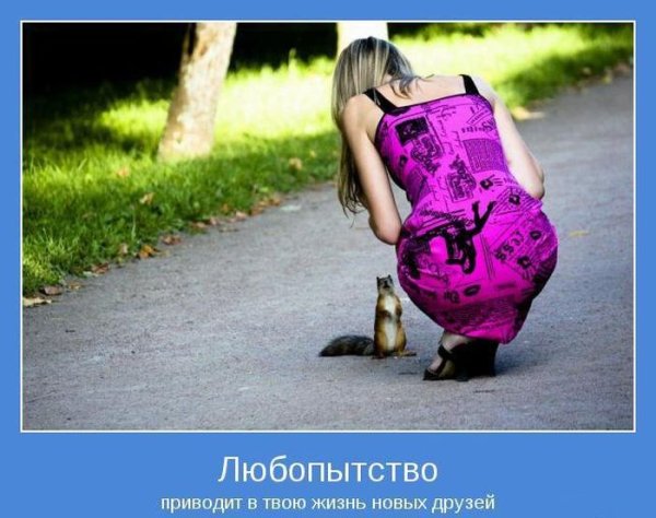 Демотиваторы позитивные смешные