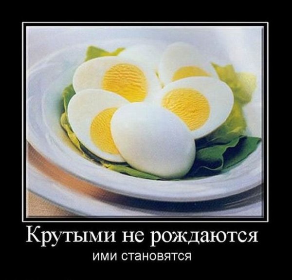 Смешные демотиваторы с надписями для поднятия настроения