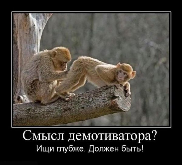 Демотиваторы для поднятия настроения мужчине