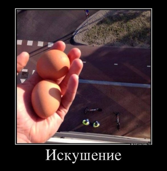 Бурундук в цветах