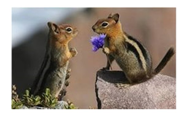 Мотиваторы юмористические