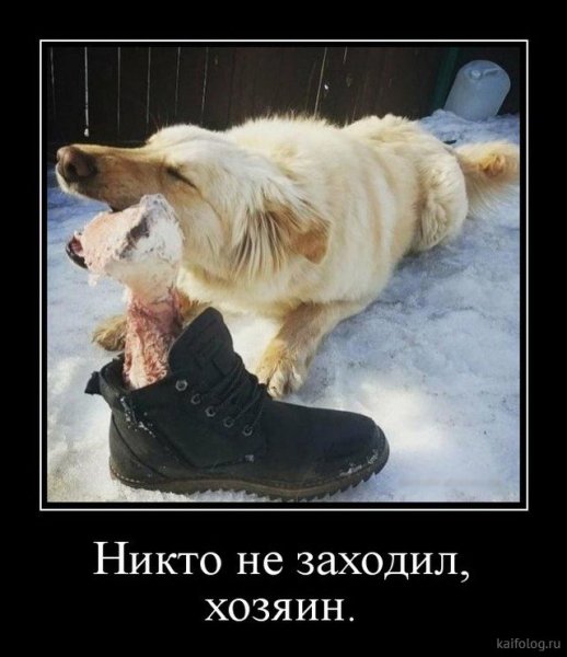 Прикольные демотиваторы