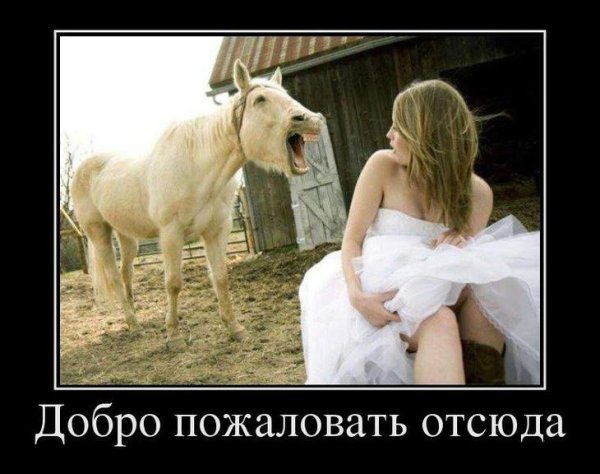Прикольные демотиваторы