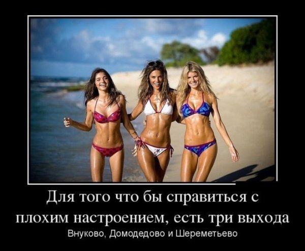 Кайфолог демотиваторы смешные
