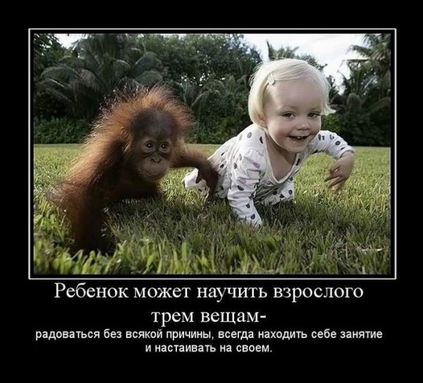 Приколы про родителей