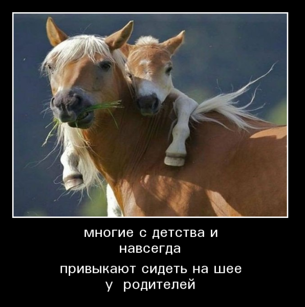 Родители картинки