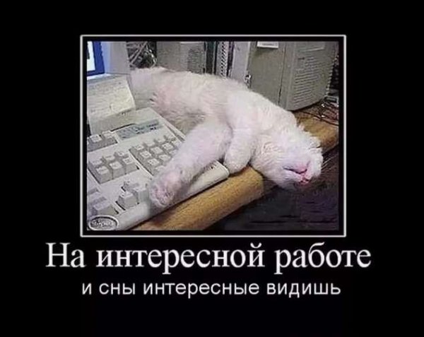Веселые картинки про работу