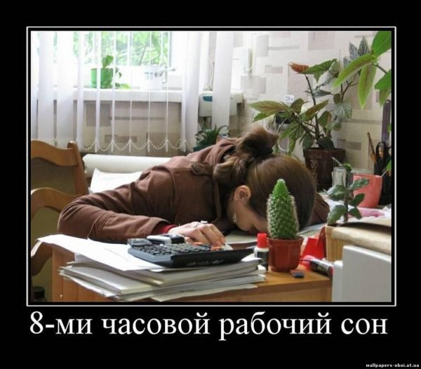 Приколы про работу