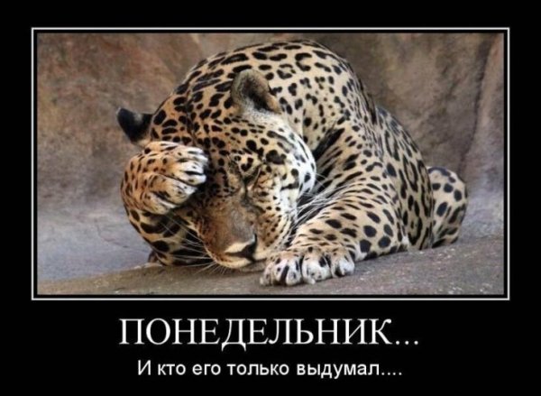 Шутки про понедельник
