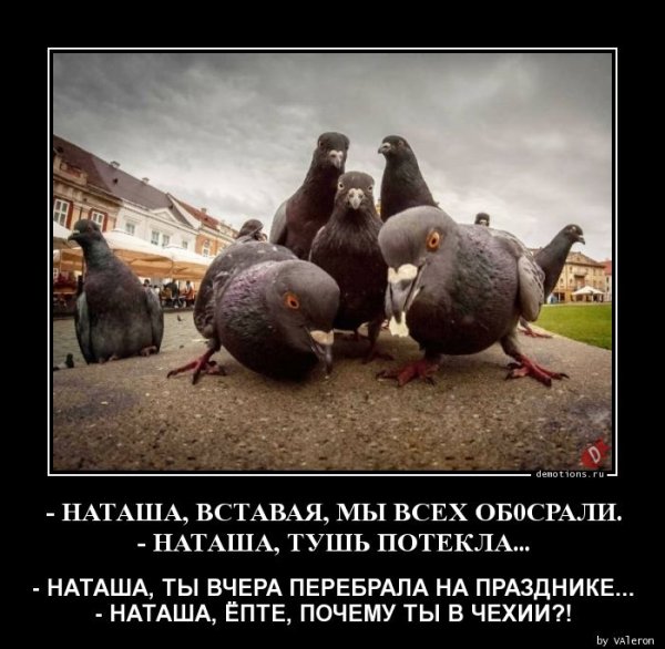 Смешные демотиваторы Натаха
