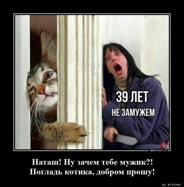 Демотиваторы про Наташу и котов