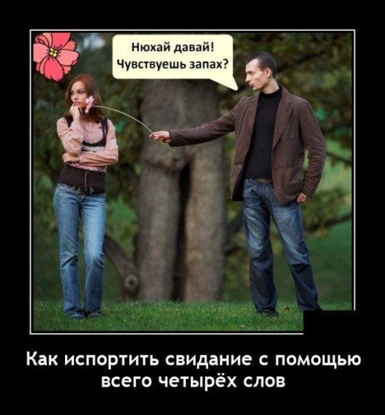 Наташу дематива демотиваторы
