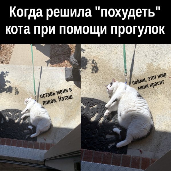Шутки про Наташу