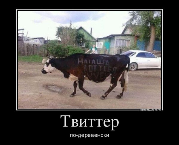 Приколы про наташку в картинках