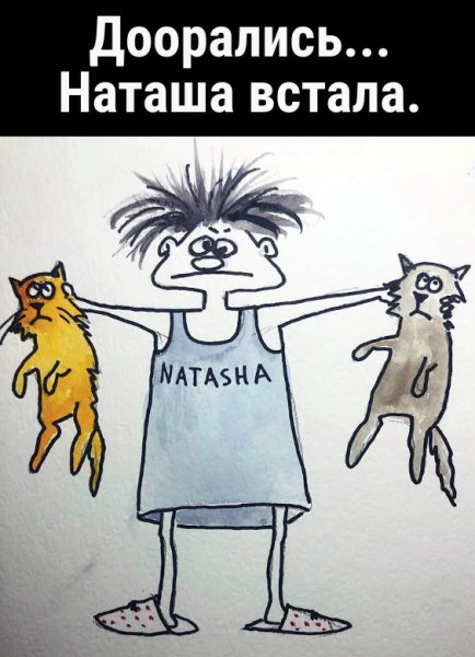 Демотиваторы про Наташу