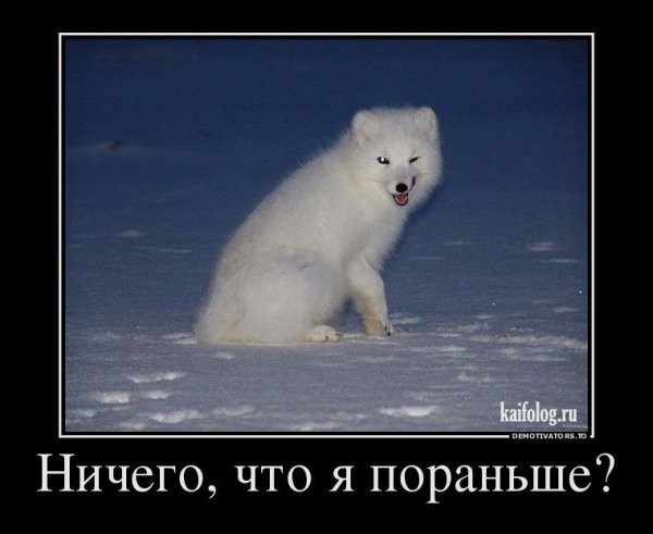 Прикольный писец