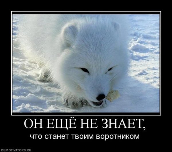 Так выглядит полный писец