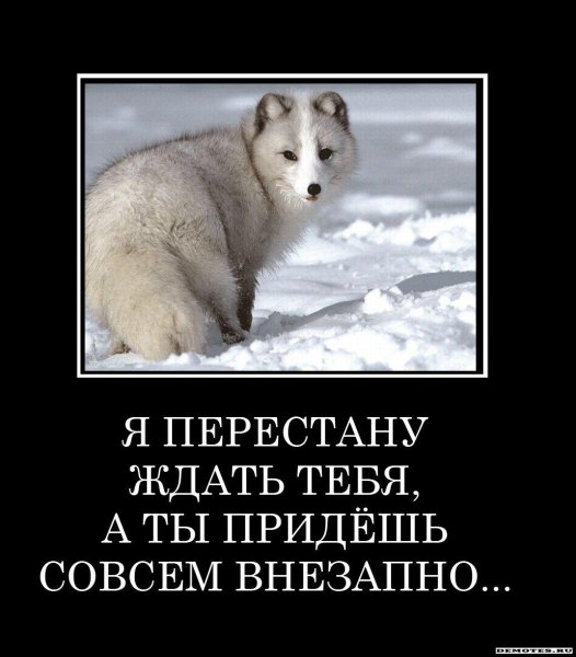 Полный писец демотиваторы