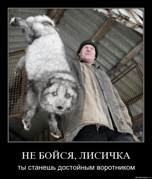Жирный писец