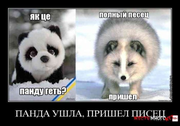 Полный песец.