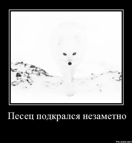 Писец подкрался незаметно прикол
