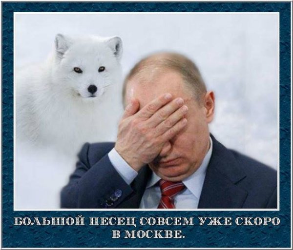 Писец пришел
