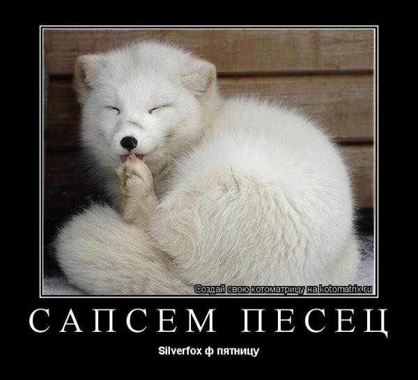Полный писец