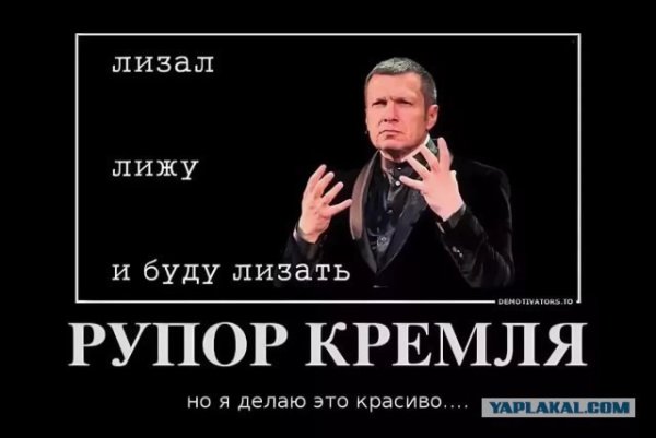 Владимир Соловьев демотиваторы
