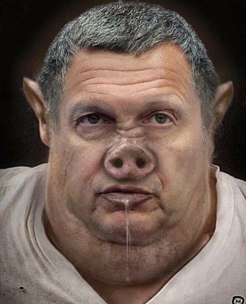 Соловьёв визгун