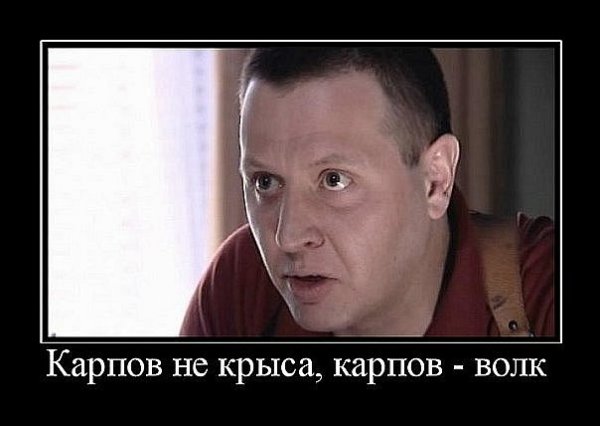 Стас Карпов демотиваторы