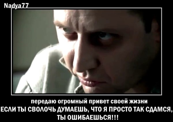 Стас Карпов мемы