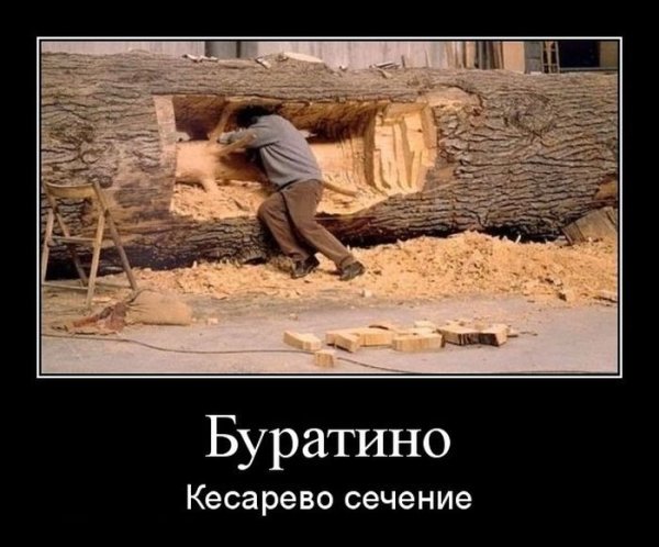 Столярные демотиваторы