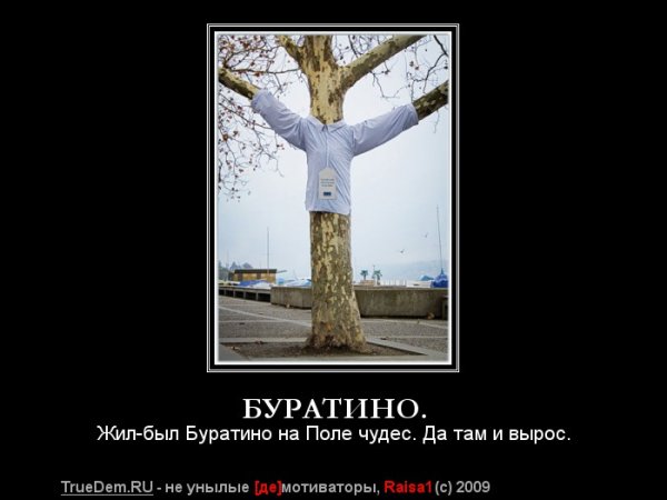 Буратино демотиватор